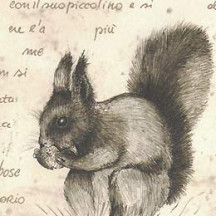 Italian Woodland Animals Holiday Print Paper ~ Tassotti Italy